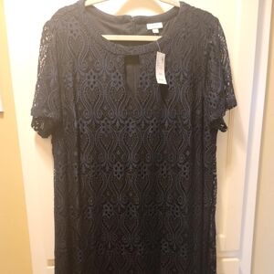 Brand New Lace Dress